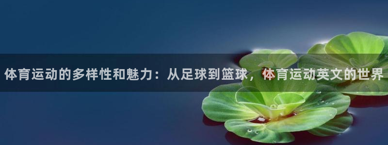 xc体育：体育运动的多样性和魅力：从足球到篮球，体育运动英文的世界