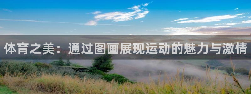 xc体育：体育之美：通过图画展现运动的魅力与激情