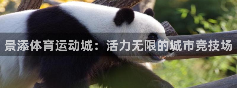 xc体育app官方网站：景添体育运动城：活力无限的城市竞技场