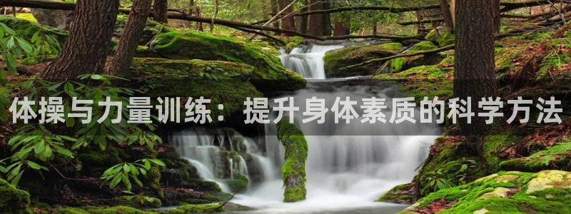 xc体育：体操与力量训练：提升身体素质的科学方法