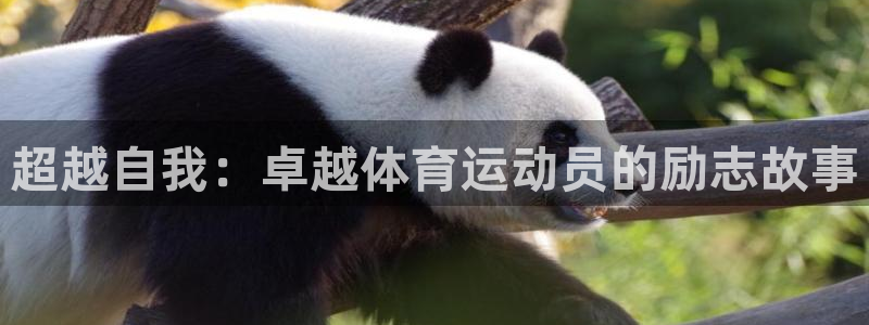xc体育：超越自我：卓越体育运动员的励志故事
